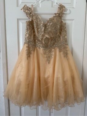 Eva USA Dress